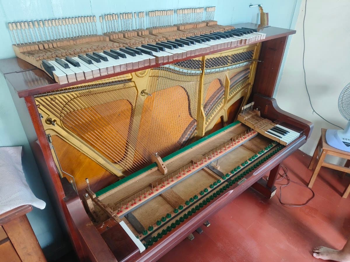 Calvin Piano service
