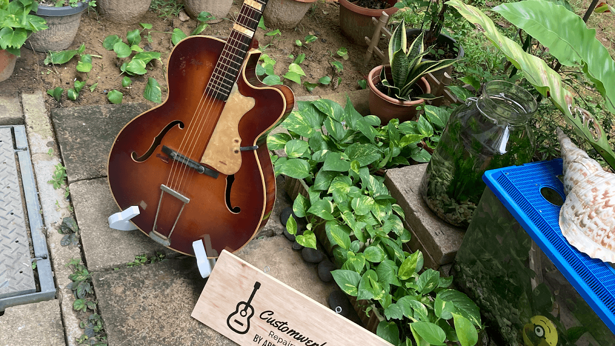 Customwerkz Guitars
